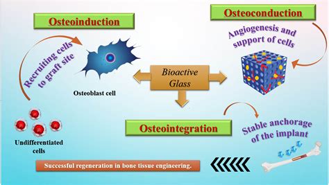  Bioglass® - Revolutionaire Materiaal voor Botreparatie en Weefselregeneratie!